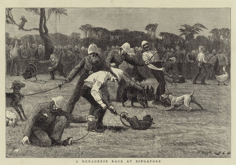 Et menageriløb i Singapore af John Charles Dollman