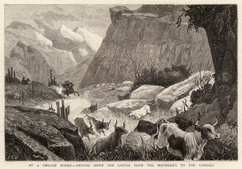 Ved en chilensk Rodeo, der kører ned af kvæget fra bjergene til indhegningerne af John Charles Dollman
