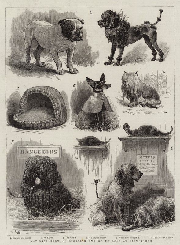 National Show of Sportsing and Other Dogs i Birmingham af John Charles Dollman