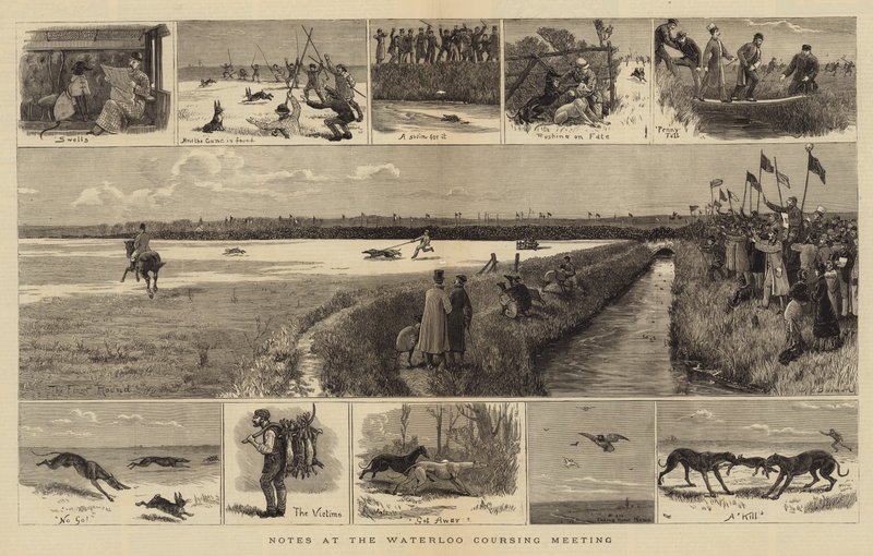 Notater ved Waterloo Coursing-mødet af John Charles Dollman