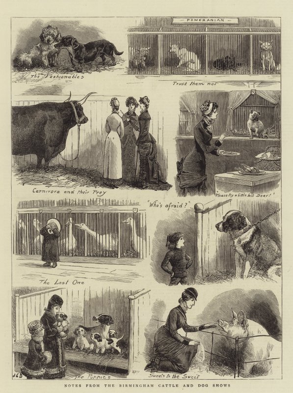 Noter fra Birmingham Cattle and Dog Shows af John Charles Dollman