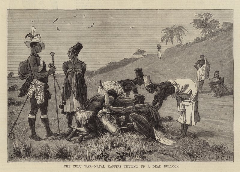Zulu-krigen, Natal Kaffirs skærer en død okse op af John Charles Dollman