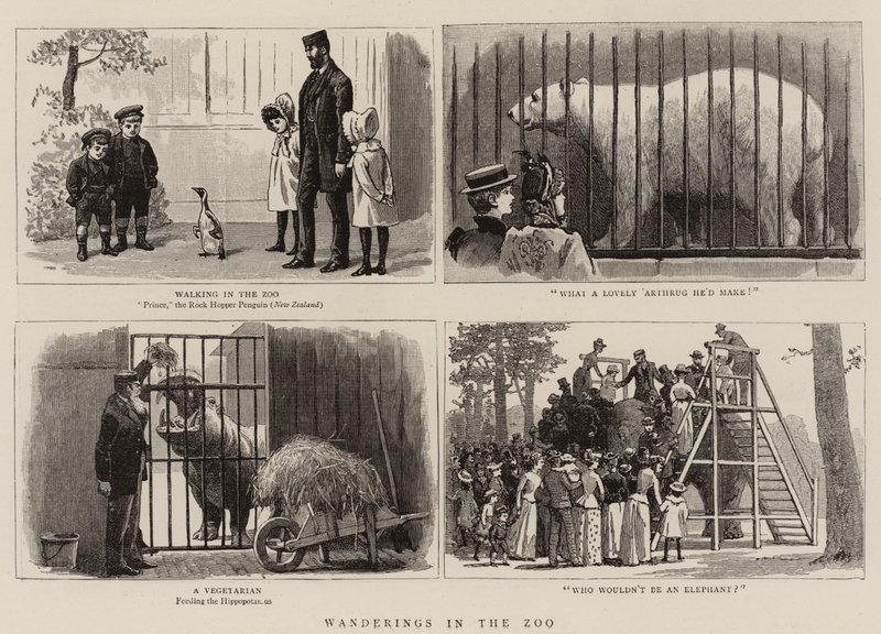 Vandring i Zoologisk Have af John Charles Dollman