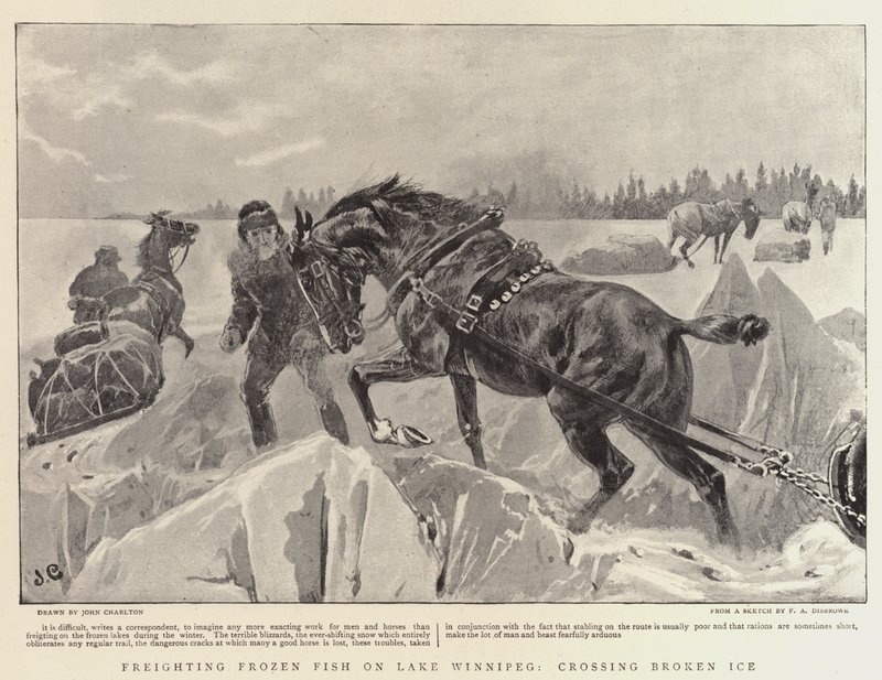 Fragt af frossen fisk på Lake Winnipeg, krydser Broken Ice af John Charlton