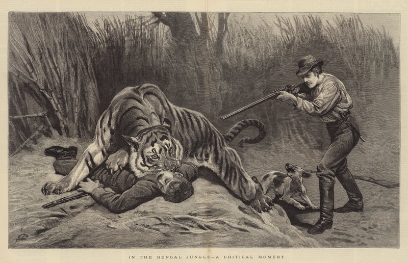 Et kritisk øjeblik i den bengalske jungle af John Charlton