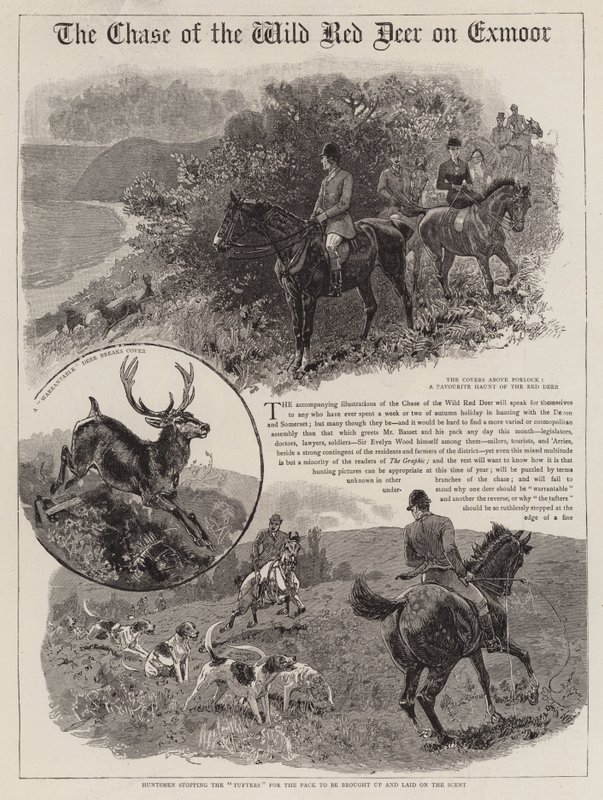 Jagten på den vilde kronhjort på Exmoor af John Charlton