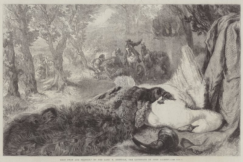 Død Svane og Påfugl af John Gilbert