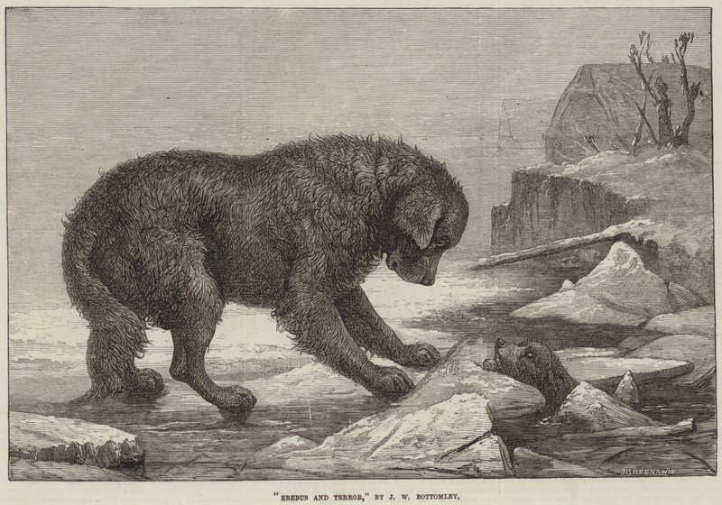 Erebus og Terror af John William Bottomley