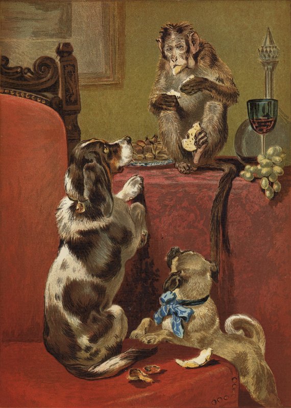 Den grådige abe af John Charles Dollman