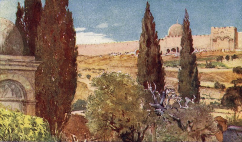 Cypresserne i Getsemane-haven af John Fulleylove