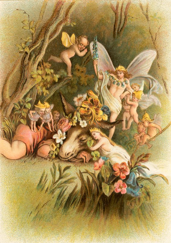 Skærsommernattens drøm af John Gilbert