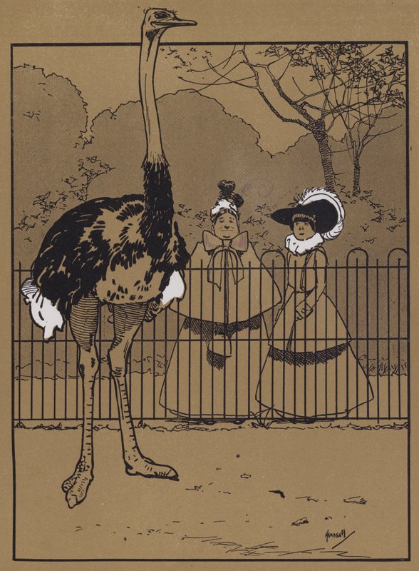 Strudsefjer (farve litho) af John Hassall