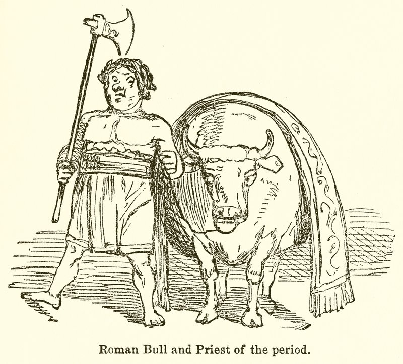 Romersk Tyr og periodens præst af John Leech