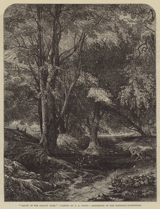 Dådyrenes hjemsøgelse af John Samuel Raven