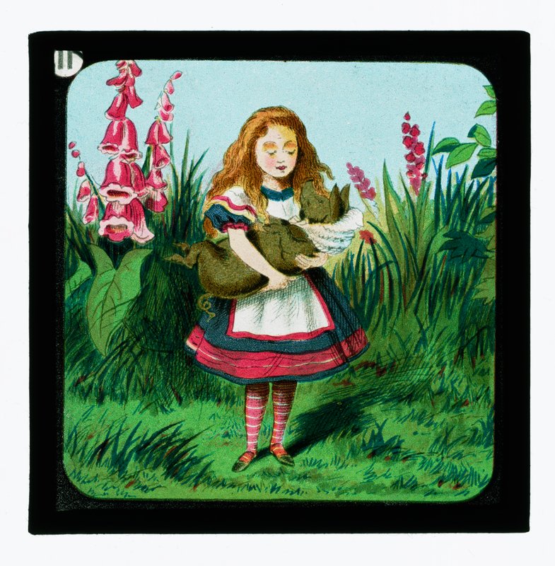Alice i Eventyrland, farvede lanterneglas af John Tenniel