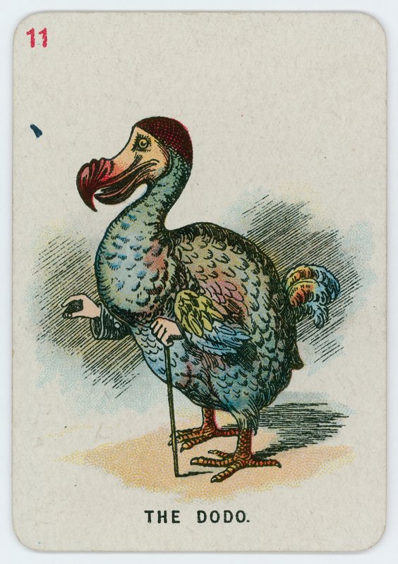 Dodo