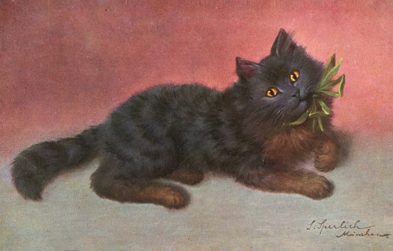 Postkort med kat (farvelitografi) af Josef Sperlich