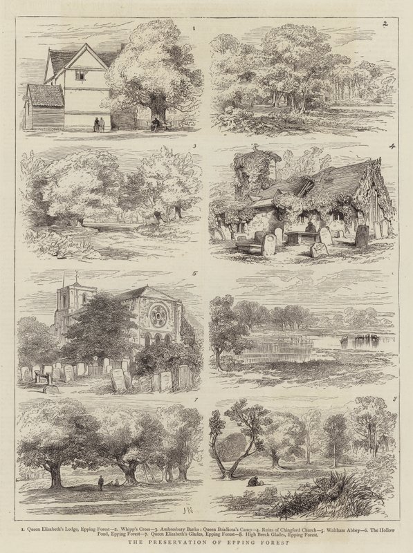 Bevarelsen af Epping Skov af Joseph Nash