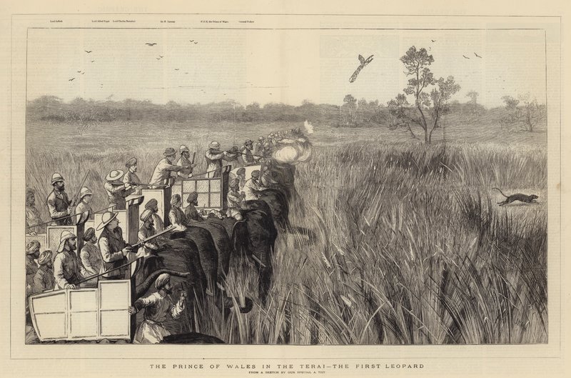 Prinsen af Wales i Terai, den første leopard af Joseph Nash
