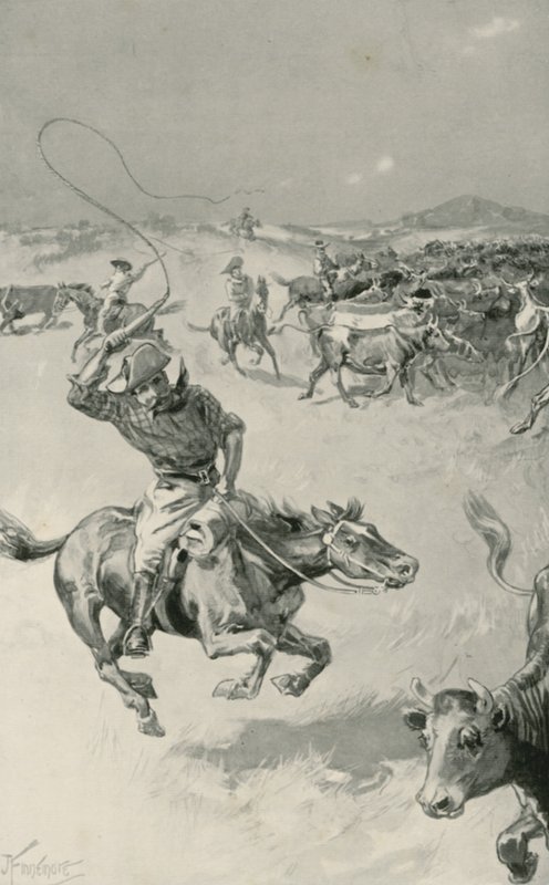Kvægopdræt i Queensland af Joseph Finnemore