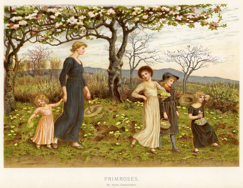 Primroser (chromolitho) af Kate Greenaway