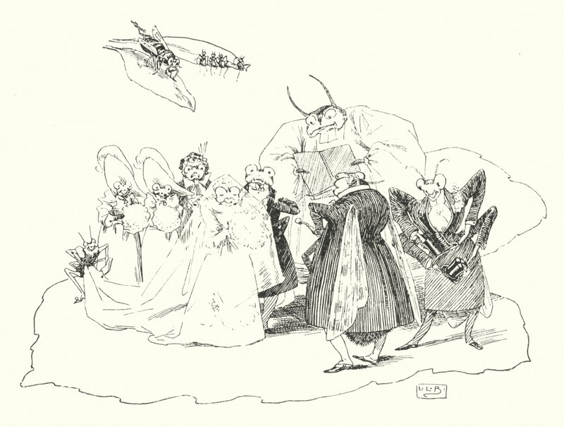 Fiddle-de-dee, fiddle-de-dee (gravering) af Leonard Leslie Brooke