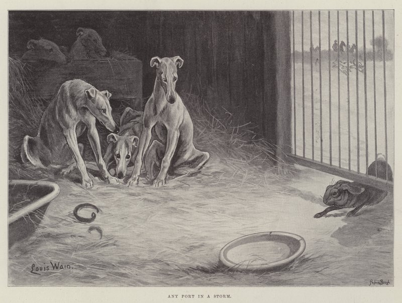 Enhver havn i en storm af Louis Wain