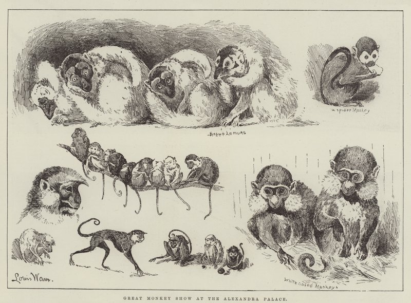 Great Monkey Show på Alexandra Palace af Louis Wain