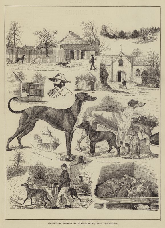 Greyhound Kennels i Athelhampton, nær Dorchester af Louis Wain