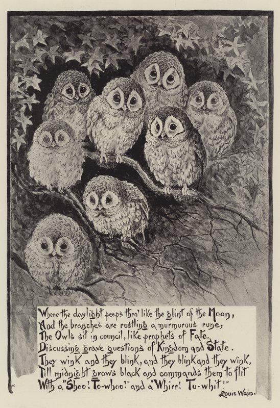Louis Wains ugler af Louis Wain