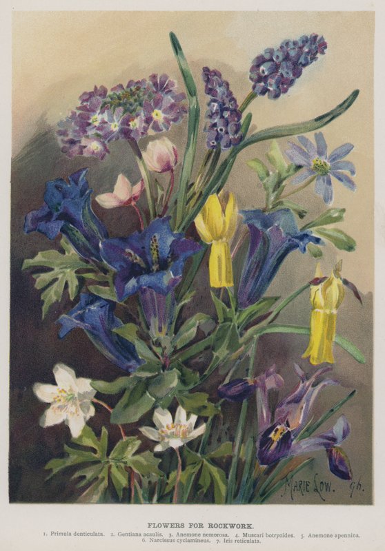 Blomster til Rockwork af Marie Low