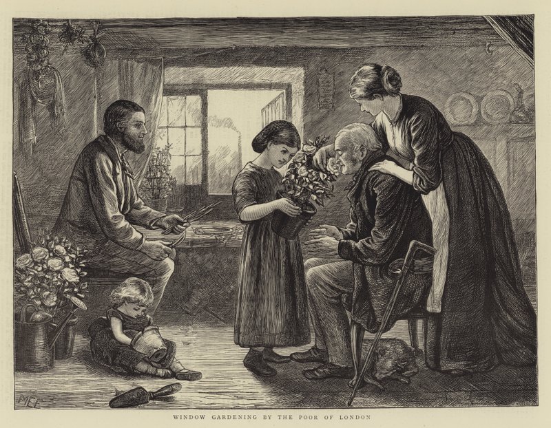 Vinduesgartneri af de fattige i London af Mary Ellen Edwards