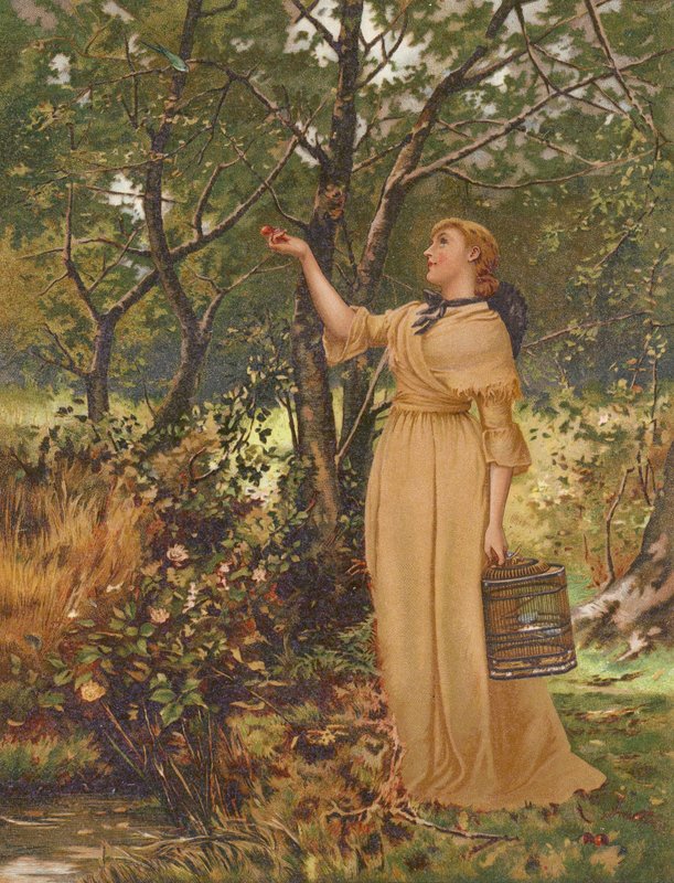 Den pjækkende (chromolitho) af Mary Ellen Edwards
