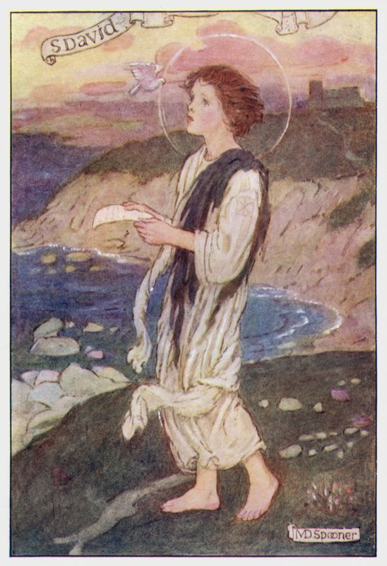 Saint David (farve litho) af Minnie Didbin Spooner