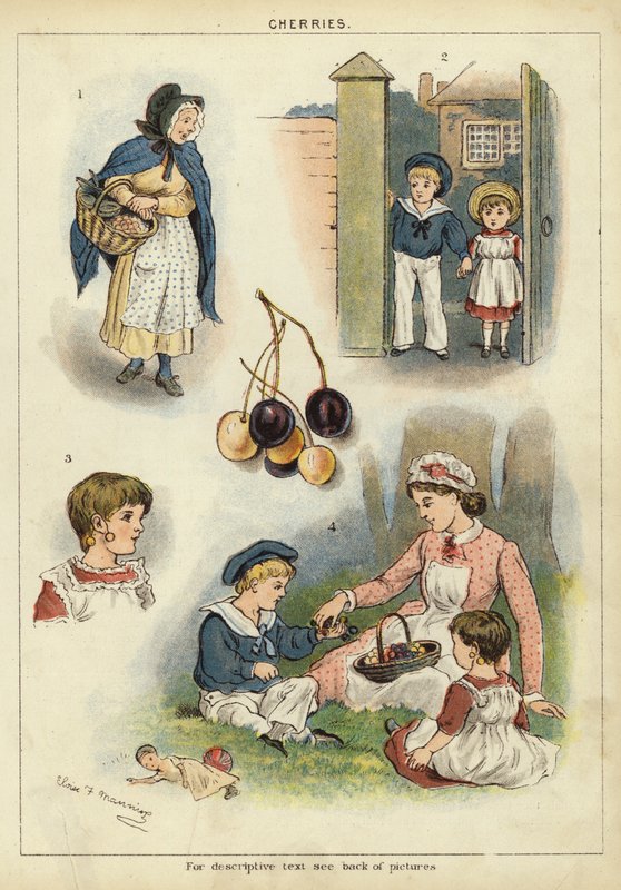 Kirsebær (chromolitho) af Miss Eliza F. Manning