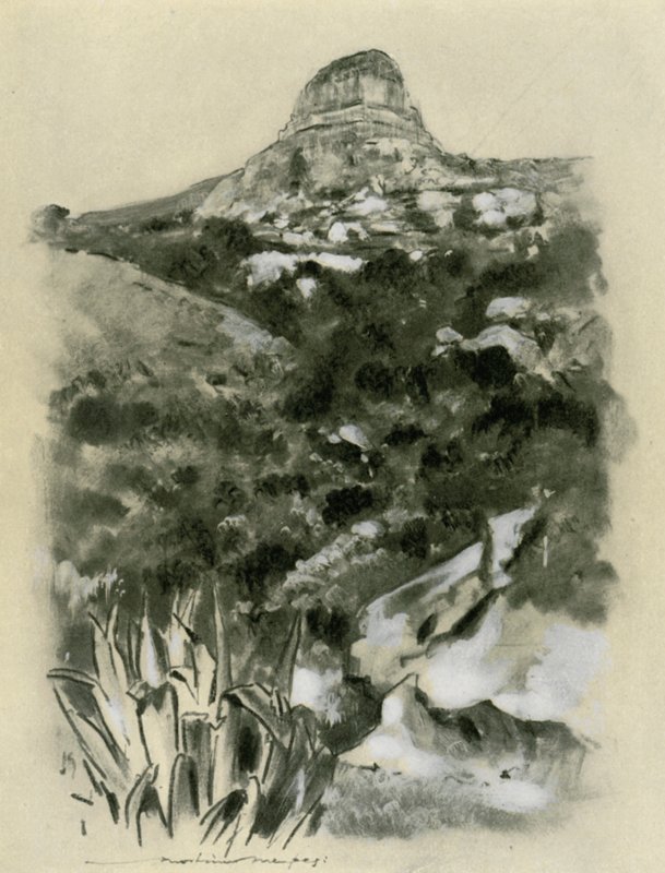 Bloemfontein af Mortimer Ludington Menpes
