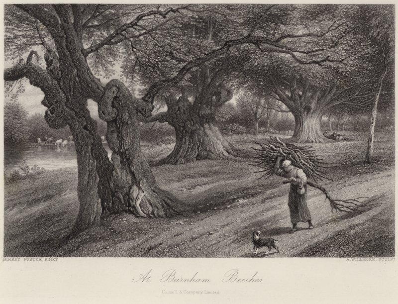 Hos Burnham Beeches af Myles Birket Foster