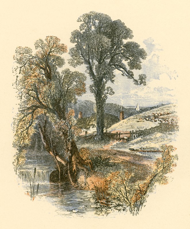 Naturens skønheder af Myles Birket Foster