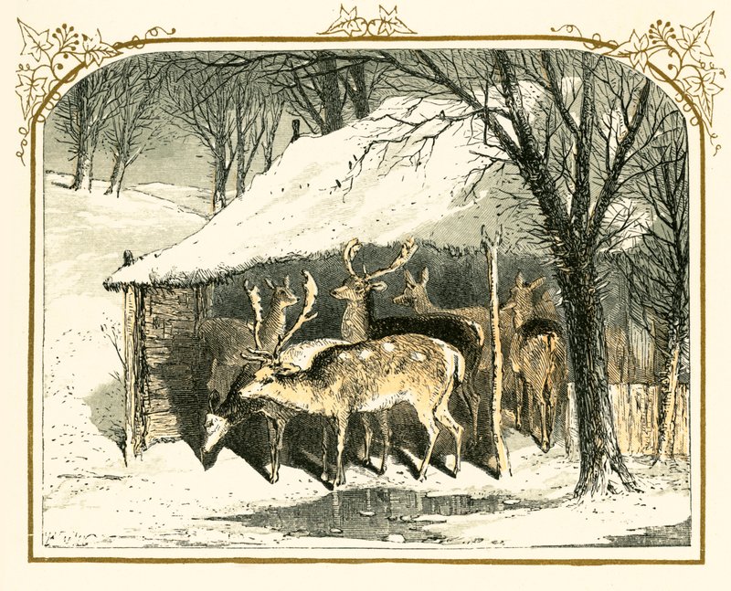 Hjorte i sneen af Myles Birket Foster