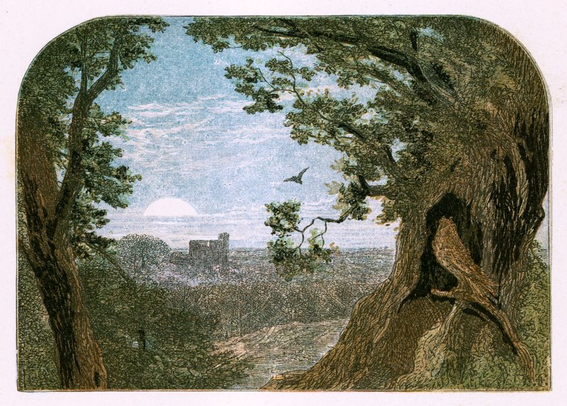 Illustration til 