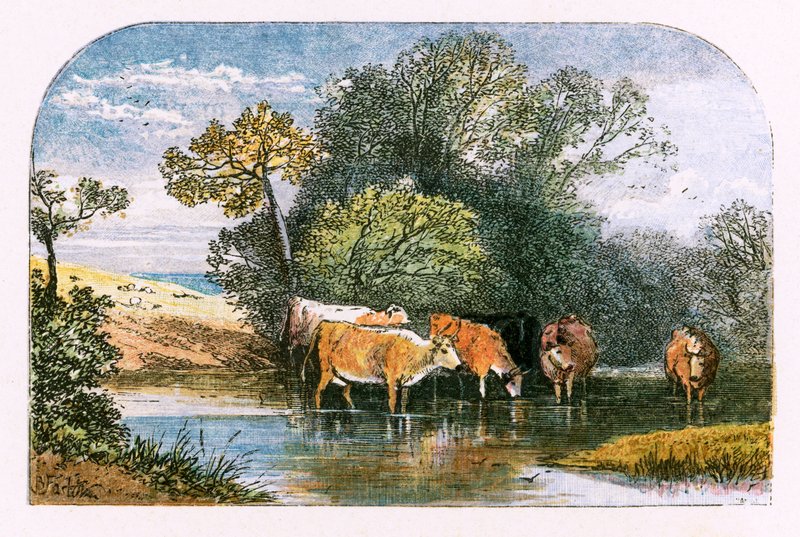 Illustration til 