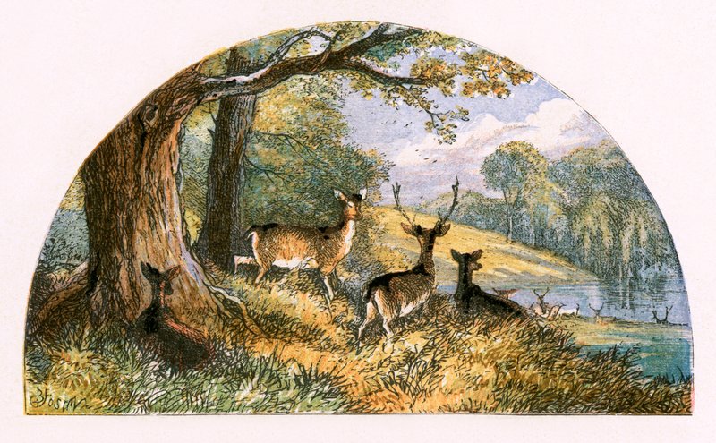 Illustration til 