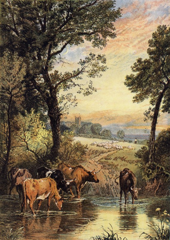 Sommeraften af Myles Birket Foster