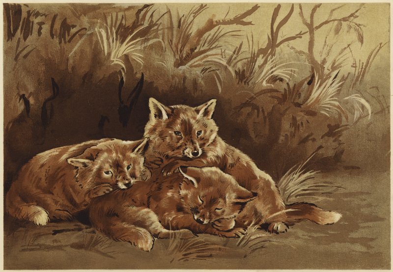 Røvernes hule (litho) af N. Parker
