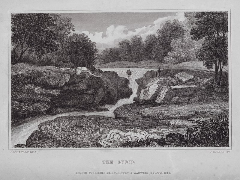 The Strid (gravering) af Nathaniel (after) Whittock
