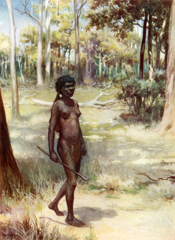 Kvinde fra Queensland: Australien af Norman Hardy
