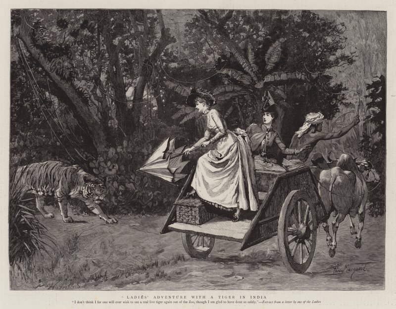 Kvinders eventyr med en tiger i Indien af Percy Macquoid