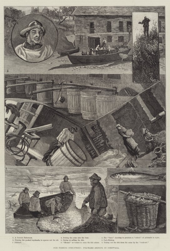Vores fiskeindustri, Pilchard Seining i Cornwall af Percy Robert Craft