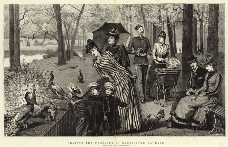 Fodring af påfuglene i Kensington Gardens (gravering) af Percy Macquoid