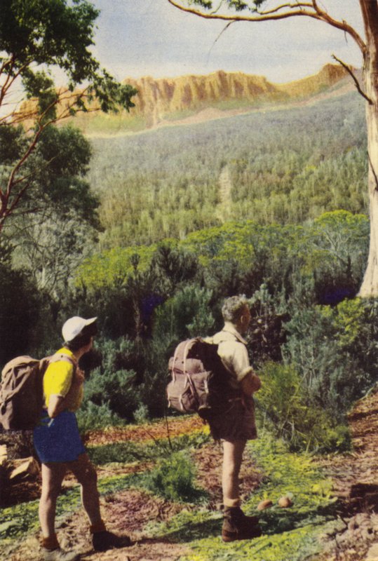Tasmanien: Vandrere nær Olympusbjerget (farvefoto) af Photographer Australian